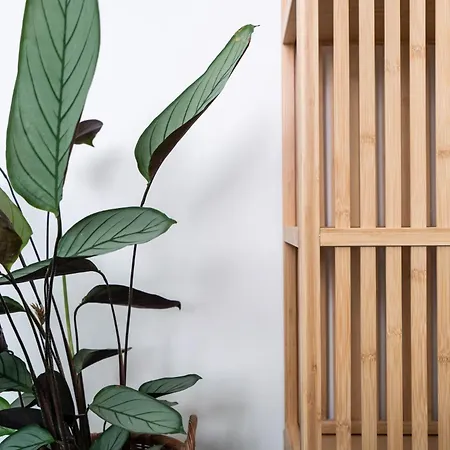 Panoramic With Sea View