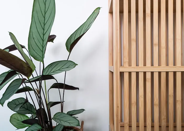 Panoramic With Sea View